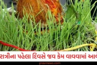 Shardiya Navratri 2025: નવરાત્રીના પહેલા દિવસે જવ કેમ વાવવામાં આવે છે? તેની પાછળની ધાર્મિક માન્યતાઓ વિશે જાણો https://www.pravinews.com/navratri/navratri-2025-day-2-maa-brahmacharini-colour-devi-goddess-bhog-mantra-katha-puja-time-130261