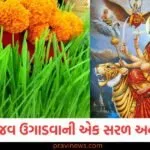 નવરાત્રી દરમિયાન જવ ઉગાડવાની એક સરળ અને સાચી રીત, માતા દેવી તેમના આશીર્વાદ વરસાવશે https://www.pravinews.com/navratri/what-to-do-and-what-not-to-do-during-navratri-know-the-important-rules-of-durga-puja-130209