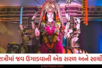 Shardiya Navratri 2025: નવરાત્રી દરમિયાન શું કરવું અને શું ન કરવું? દુર્ગા પૂજાના મહત્વપૂર્ણ નિયમો જાણો. https://www.pravinews.com/religion/astrology/leo-and-sagittarius-people-will-have-their-pending-work-completed-and-their-income-will-increase-130374