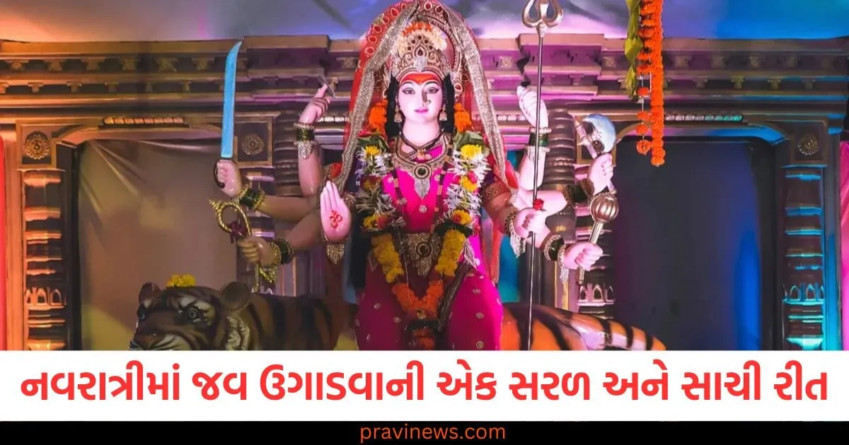 Shardiya Navratri 2025: નવરાત્રી દરમિયાન શું કરવું અને શું ન કરવું? દુર્ગા પૂજાના મહત્વપૂર્ણ નિયમો જાણો. https://www.pravinews.com/navratri/what-to-do-and-what-not-to-do-during-navratri-know-the-important-rules-of-durga-puja-130209