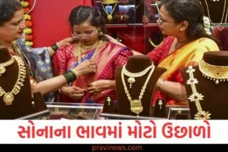 સોનાના ભાવમાં મોટો ઉછાળો, ક્યાં પહોંચી છે ચાંદી; જાણો શું છે તાજો ભાવ https://www.pravinews.com/business/this-company-will-make-big-money-from-tata-capitals-ipo-is-planning-to-sell-3-58-crore-shares-129993