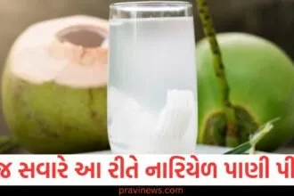 રોજ સવારે આ રીતે નારિયેળ પાણી પીવો, આ સ્વાસ્થ્ય સમસ્યાઓ દૂર થશે https://www.pravinews.com/lifestyle/health-fitness/drink-fennel-water-before-going-to-bed-at-night-you-will-get-amazing-benefits-along-with-good-sleep-129827