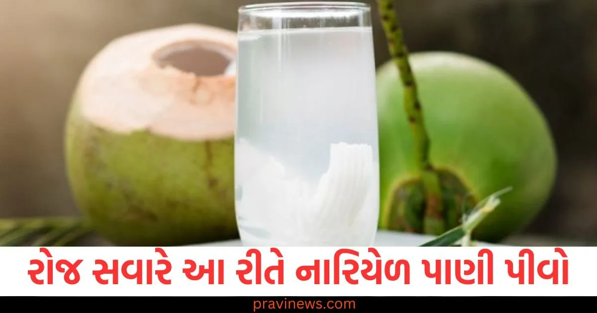 રોજ સવારે આ રીતે નારિયેળ પાણી પીવો, આ સ્વાસ્થ્ય સમસ્યાઓ દૂર થશે https://www.pravinews.com/lifestyle/health-fitness/which-vitamin-deficiency-causes-joint-pain-how-to-get-rid-of-it-129657