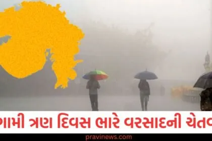 આગામી ત્રણ દિવસ ગુજરાતમાં ભારે વરસાદની ચેતવણી, IMD એ તમામ જિલ્લાઓ માટે એલર્ટ જાહેર કર્યું https://www.pravinews.com/author/zeroerror/page/10