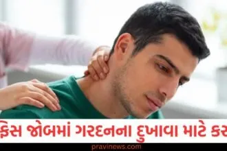 તમને બેઠા બેઠા કામ કરવાથી સર્વાઇકલ સમસ્યા થાય છે, તો જાણો કઈ કસરત તેને ઠીક કરશે https://www.pravinews.com/lifestyle/sprouted-foods-benefits-mung-kala-chana-khane-ke-fayde-healthy-eating-71933