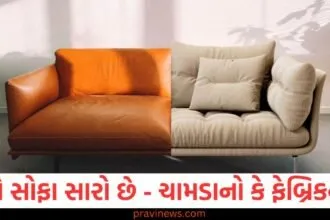 Leather Sofa vs Fabric Sofa : સારા સ્વાસ્થ્ય માટે કયો સોફા સારો છે - ચામડાનો કે ફેબ્રિકનો? https://www.pravinews.com/international-news/dinga-dinga-disease-in-uganda-symptoms-prevention-all-details-health-news-71932