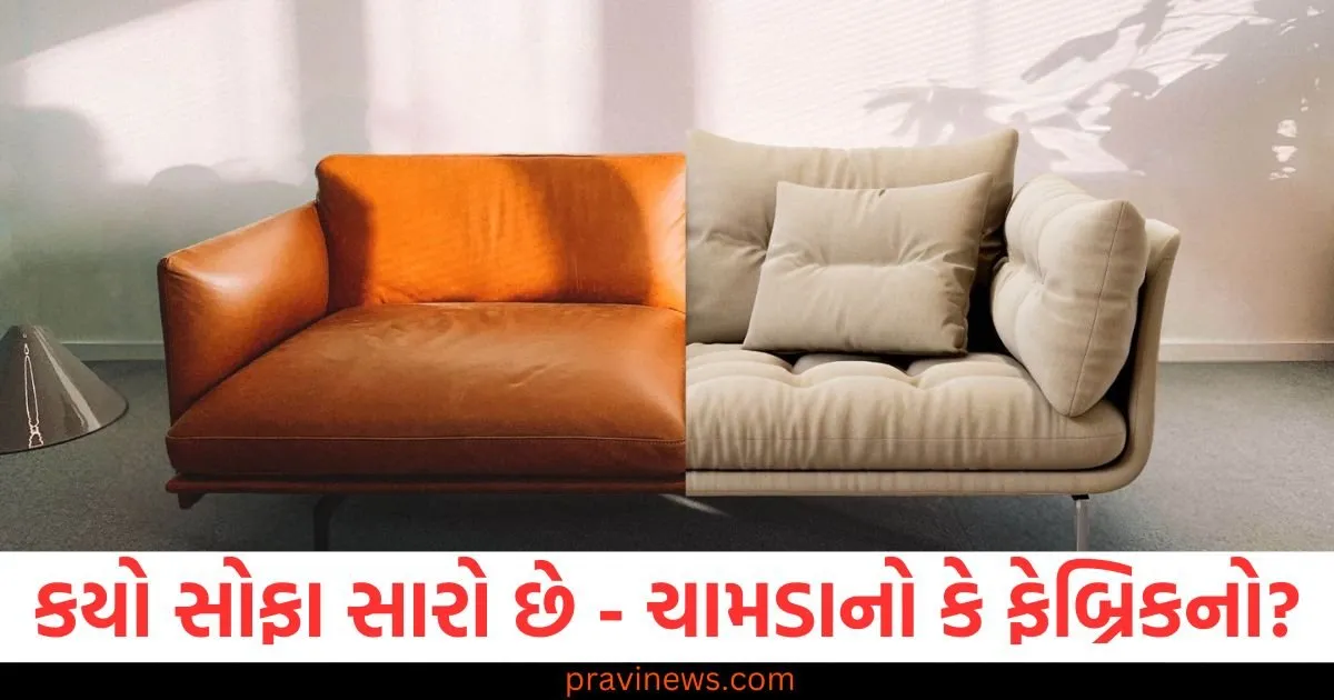 Leather Sofa vs Fabric Sofa : સારા સ્વાસ્થ્ય માટે કયો સોફા સારો છે - ચામડાનો કે ફેબ્રિકનો? https://www.pravinews.com/lifestyle/health-fitness/leather-sofa-vs-fabric-sofa-which-sofa-is-better-for-good-health-leather-or-fabric-129908