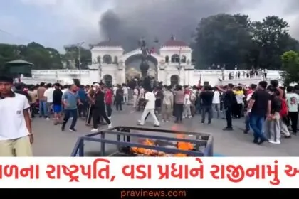 નેપાળના રાષ્ટ્રપતિ, વડા પ્રધાને રાજીનામું આપ્યું, હવે સત્તા સેનાના હાથમાં https://www.pravinews.com/international-news