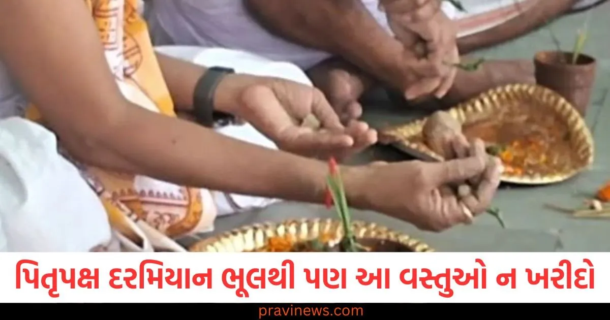 Pitru Paksha 2025: પિતૃપક્ષ દરમિયાન ભૂલથી પણ આ વસ્તુઓ ન ખરીદો, તમારા પૂર્વજો ગુસ્સે થશે https://www.pravinews.com/lifestyle/health-fitness/drink-fennel-water-before-going-to-bed-at-night-you-will-get-amazing-benefits-along-with-good-sleep-129827