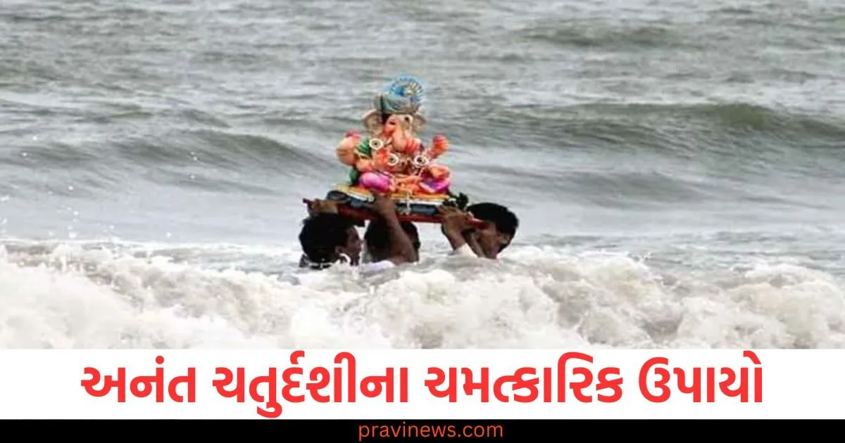 અનંત ચતુર્દશીના આ ચમત્કારિક ઉપાયો દરેક સમસ્યાને સુધારશે, ચોક્કસ અજમાવી જુઓ https://www.pravinews.com/lifestyle/health-fitness/this-superfood-will-make-your-bones-strong-and-also-helps-you-lose-weight-quickly-know-the-right-way-to-eat-it-quickly-129786