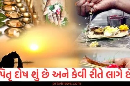 પિતૃ દોષ શું છે, કેવી રીતે લાગે છે દોષ, જાણો કારણ અને તેને ઉકેલવાના પ્રયત્નો https://www.pravinews.com/author/zeroerror/page/11