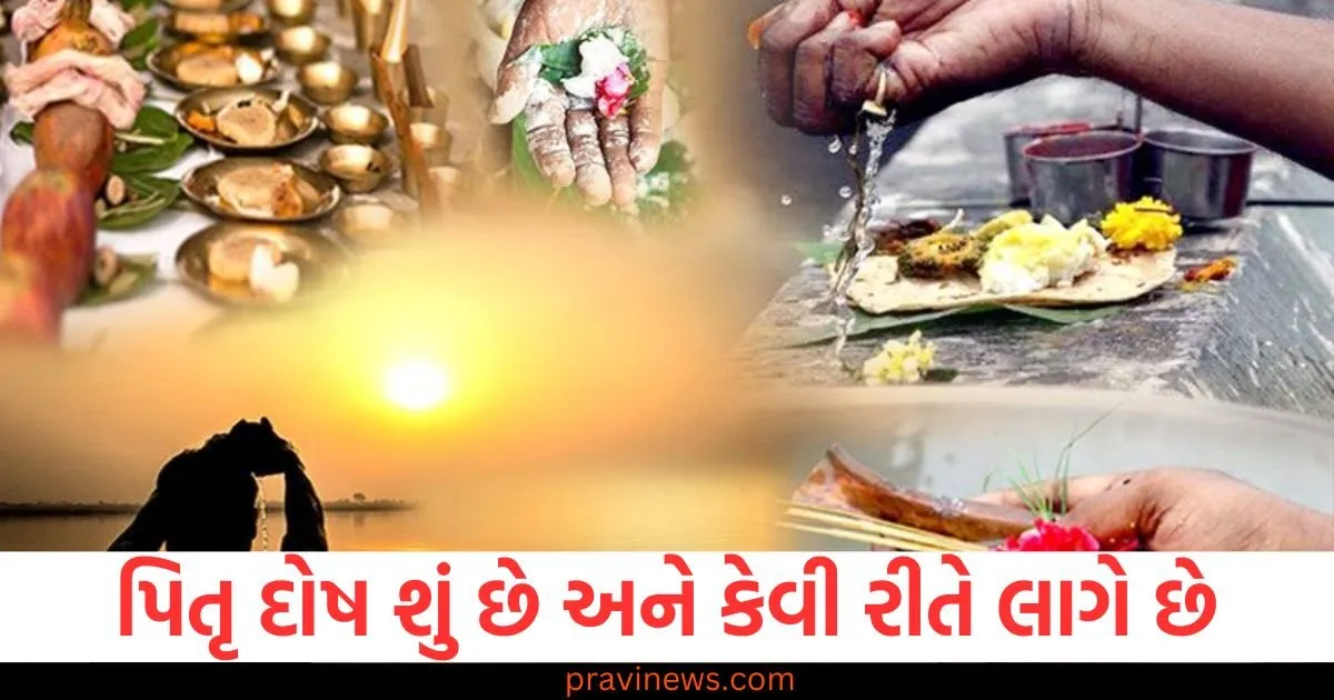 પિતૃ દોષ શું છે, કેવી રીતે લાગે છે દોષ, જાણો કારણ અને તેને ઉકેલવાના પ્રયત્નો https://www.pravinews.com/lifestyle/health-fitness/what-is-the-new-walking-trend-6-6-6-know-how-effective-this-new-formula-is-in-losing-weight-129868