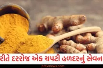 આ રીતે દરરોજ એક ચપટી હળદરનું સેવન કરો, બ્લડ સુગર લેવલ નિયંત્રણમાં રહેશે https://www.pravinews.com/lifestyle/world-most-expensive-salt-costs-30-thousand-rupees-per-kg-korean-bamboo-salt-minerals-and-benefits-129979