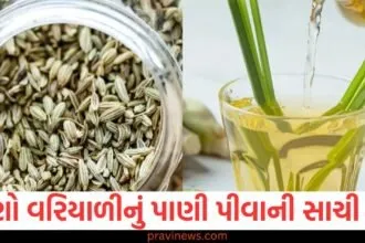 રાત્રે સૂતા પહેલા વરિયાળીનું પાણી પીઓ, સારી ઊંઘ સાથે મળશે આશ્ચર્યજનક ફાયદા https://www.pravinews.com/lifestyle/world-most-expensive-salt-costs-30-thousand-rupees-per-kg-korean-bamboo-salt-minerals-and-benefits-129979