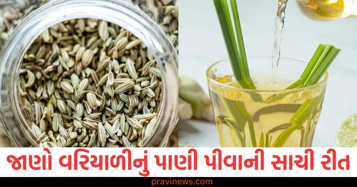 રાત્રે સૂતા પહેલા વરિયાળીનું પાણી પીઓ, સારી ઊંઘ સાથે મળશે આશ્ચર્યજનક ફાયદા https://www.pravinews.com