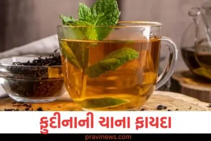 બદલાતી ઋતુમાં આ ચા કોઈ ટોનિકથી ઓછી નથી, જાણો તેને પીવાના શું ફાયદા છે? https://www.pravinews.com/lifestyle/health-fitness