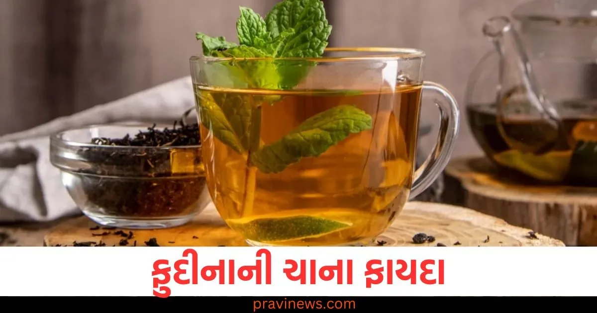 બદલાતી ઋતુમાં આ ચા કોઈ ટોનિકથી ઓછી નથી, જાણો તેને પીવાના શું ફાયદા છે? https://www.pravinews.com/lifestyle/health-fitness/drinking-mint-tea-in-monsoon-season-gives-these-health-benefits-129618