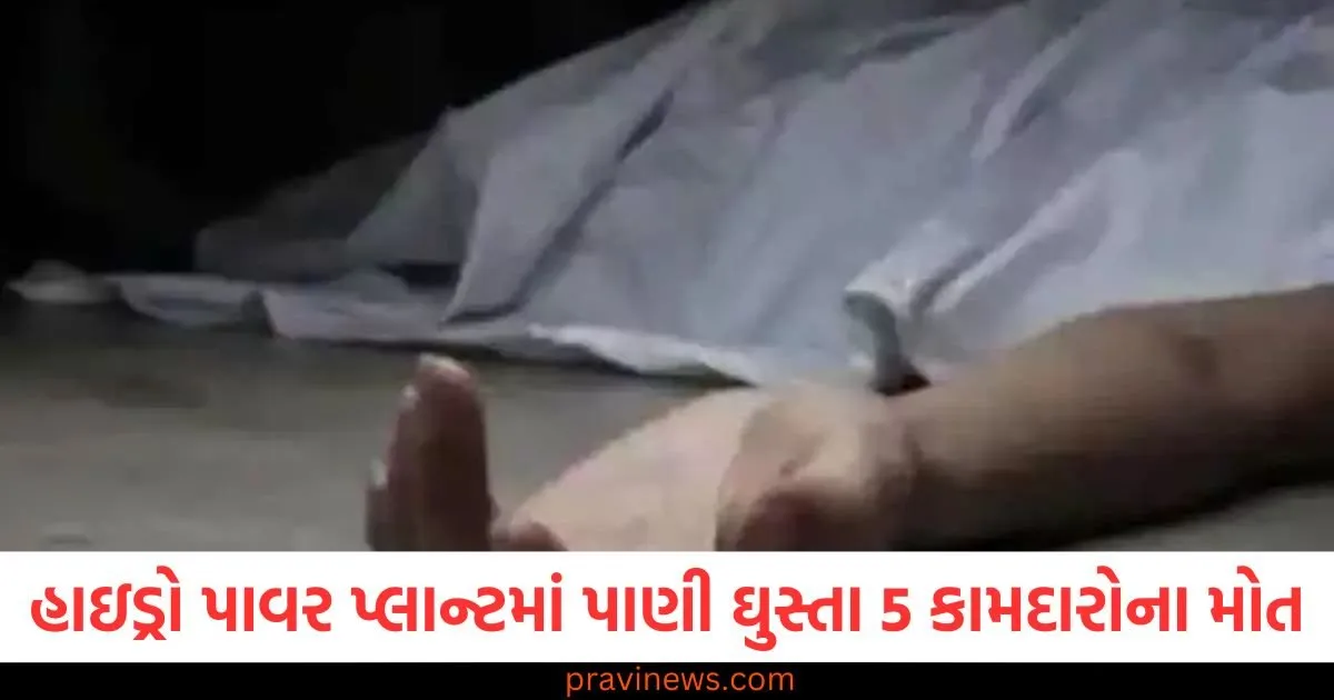 હાઇડ્રો પાવર પ્લાન્ટમાં ઘુસ્યું મહિસાગર નદીનું પાણી, 5 કામદારોના મોત, કોન્ટ્રાક્ટરને કેમ દોષી ઠેરવવામાં આવી રહ્યો છે https://www.pravinews.com/business/fd-vs-mutual-funds-which-one-to-invest-in-which-one-will-give-you-more-profit-understand-the-difference-between-them-129795