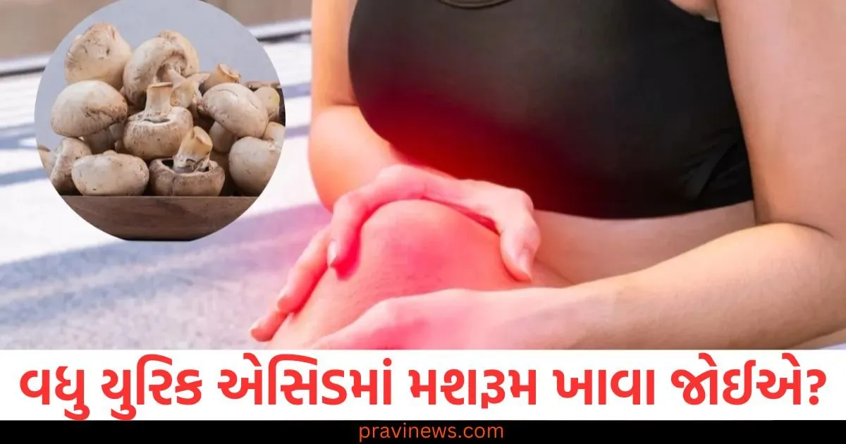 વધુ યુરિક એસિડમાં મશરૂમ ખાવા જોઈએ? જાણો આના ફાયદા અને નુકશાન https://www.pravinews.com/lifestyle/health-fitness/drinking-mint-tea-in-monsoon-season-gives-these-health-benefits-129618