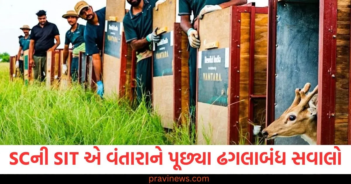 સુપ્રીમ કોર્ટની SIT એ વંતારાને પૂછ્યા ઢગલાબંધ સવાલો, CBI, ED સહિત ઘણી એજન્સીઓ તપાસમાં સામેલ https://www.pravinews.com/gujarat-news/bad-news-for-employed-people-now-they-will-have-to-work-for-so-many-hours-129951