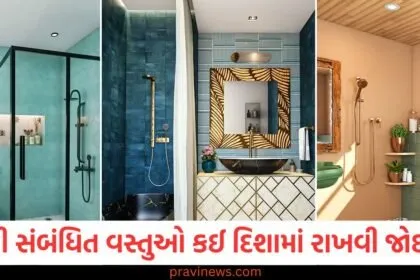 ઘરમાં નળ, શાવર, વોશ બેસિન, ગીઝર... પાણી સંબંધિત વસ્તુઓ કઈ દિશામાં રાખવી જોઈએ? https://www.pravinews.com/author/zeroerror/page/10