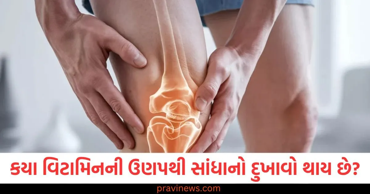 કયા વિટામિનની ઉણપથી સાંધાનો દુખાવો થાય છે? આ વસ્તુઓનું સેવન કરો અને ઉણપ દૂર થશે https://www.pravinews.com/lifestyle/health-fitness/which-vitamin-deficiency-causes-joint-pain-how-to-get-rid-of-it-129657