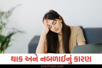 કયા વિટામિનની ઉણપથી ઉર્જાનો અભાવ થાય છે? ઉર્જાવાન અનુભવવા માટે શું કરવું જોઈએ? https://www.pravinews.com/lifestyle