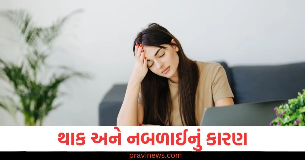 કયા વિટામિનની ઉણપથી ઉર્જાનો અભાવ થાય છે? ઉર્જાવાન અનુભવવા માટે શું કરવું જોઈએ? https://www.pravinews.com/business/you-can-bid-in-this-ipo-from-september-4-know-the-price-band-and-where-the-shares-will-be-listed-129713