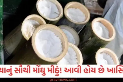 દુનિયાનું સૌથી મોંઘુ મીઠું, 30 હજાર રૂપિયા પ્રતિ કિલો, આ છે તેની ખાસિયતો https://www.pravinews.com