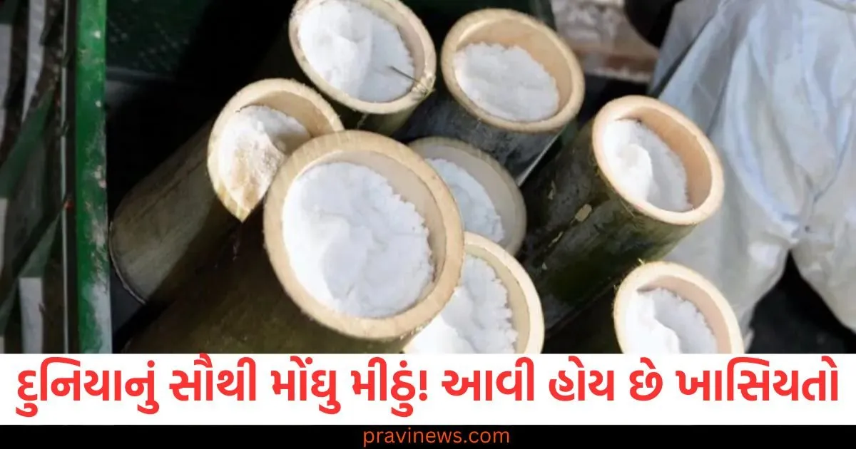 દુનિયાનું સૌથી મોંઘુ મીઠું, 30 હજાર રૂપિયા પ્રતિ કિલો, આ છે તેની ખાસિયતો https://www.pravinews.com/lifestyle/world-most-expensive-salt-costs-30-thousand-rupees-per-kg-korean-bamboo-salt-minerals-and-benefits-129979