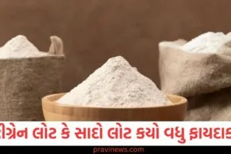 મલ્ટીગ્રેન લોટ કે સાદો લોટ, આ બેમાંથી કયું સામાન્ય લોકો માટે વધુ ફાયદાકારક છે? https://www.pravinews.com/world-news-in-gujarati/aqi-in-delhi-today-how-to-check-on-your-iphone-or-android-phone-step-by-step-process-57507