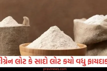 મલ્ટીગ્રેન લોટ કે સાદો લોટ, આ બેમાંથી કયું સામાન્ય લોકો માટે વધુ ફાયદાકારક છે? https://www.pravinews.com