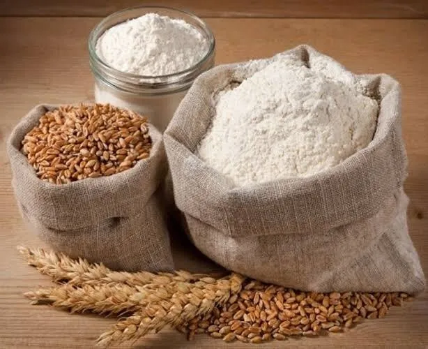 મલ્ટીગ્રેન લોટ કે સાદો લોટ, આ બેમાંથી કયું સામાન્ય લોકો માટે વધુ ફાયદાકારક છે? https://www.pravinews.com/lifestyle/health-fitness/multigrain-flour-or-plain-flour-which-of-these-two-is-more-beneficial-for-the-common-people-130357