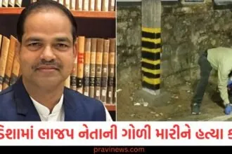 ઓડિશામાં ભાજપ નેતાની ગોળી મારીને હત્યા, ઘટના બાદ શોક અને તણાવનો માહોલ https://www.pravinews.com/world-news-in-gujarati/boeing-787-price-vijay-rupani-death-confirm-black-box-airplane-survivors-of-air-india-crash-127183