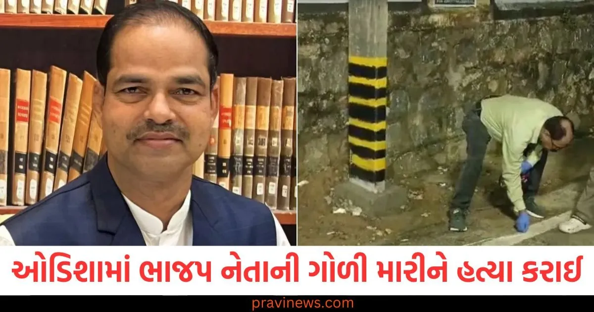 ઓડિશામાં ભાજપ નેતાની ગોળી મારીને હત્યા, ઘટના બાદ શોક અને તણાવનો માહોલ https://www.pravinews.com/world-news-in-gujarati/odisha-bjp-leader-and-senior-advocate-pitabas-panda-shot-dead-130358